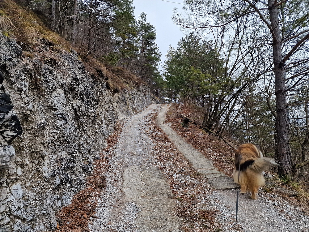 Špicberg, 31. 1. 2026