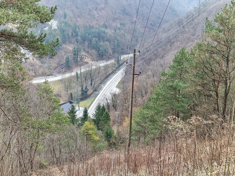 Špicberg, 31. 1. 2026