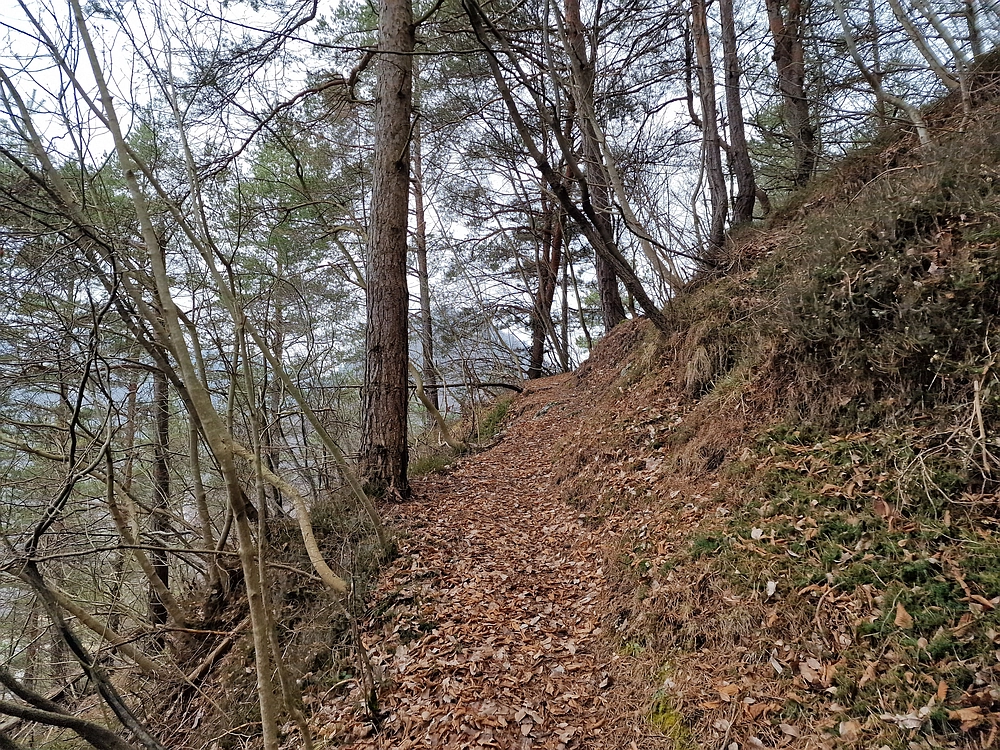 Špicberg, 31. 1. 2026