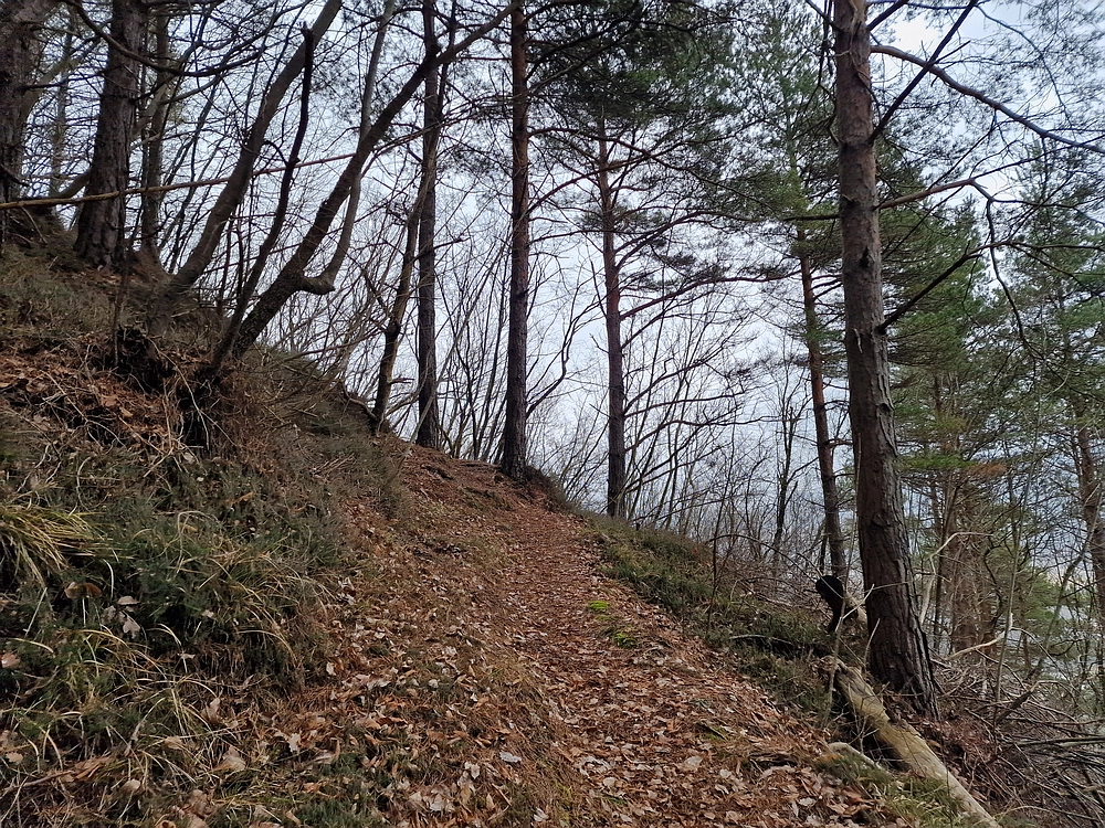 Špicberg, 31. 1. 2026