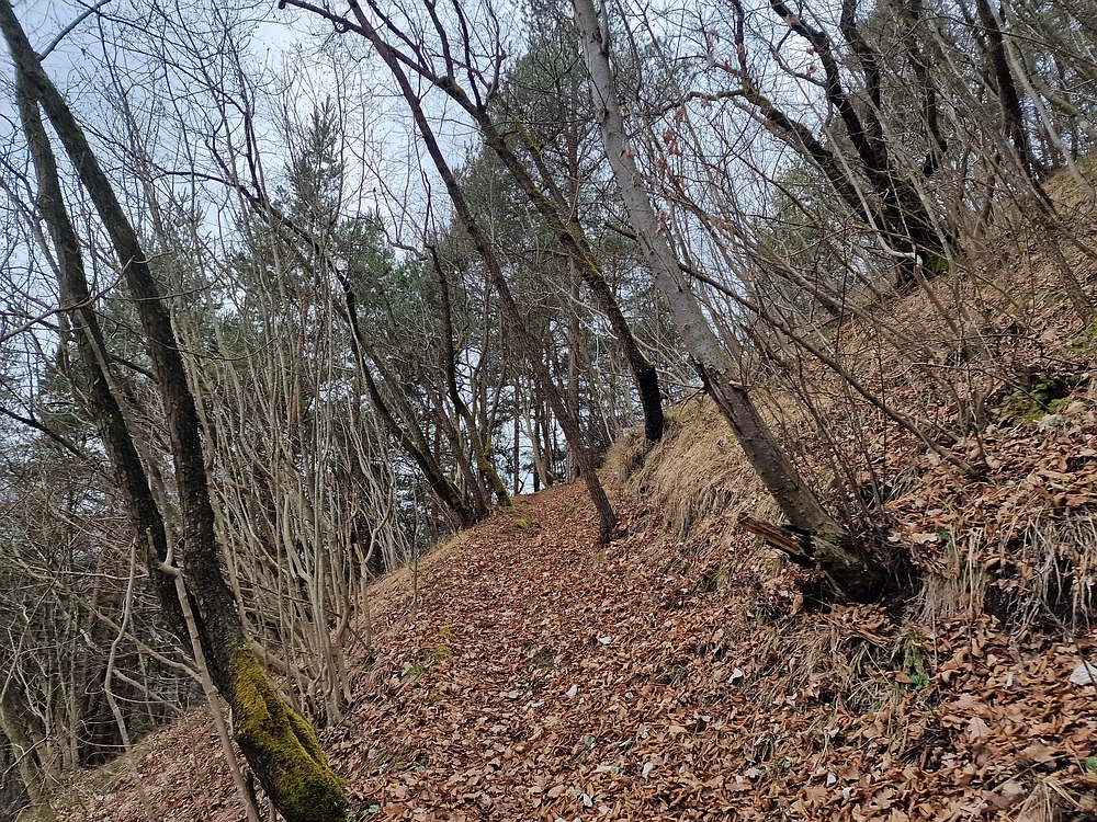 Špicberg, 31. 1. 2026