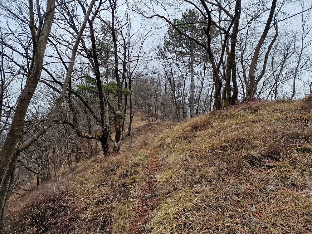 Špicberg, 31. 1. 2026