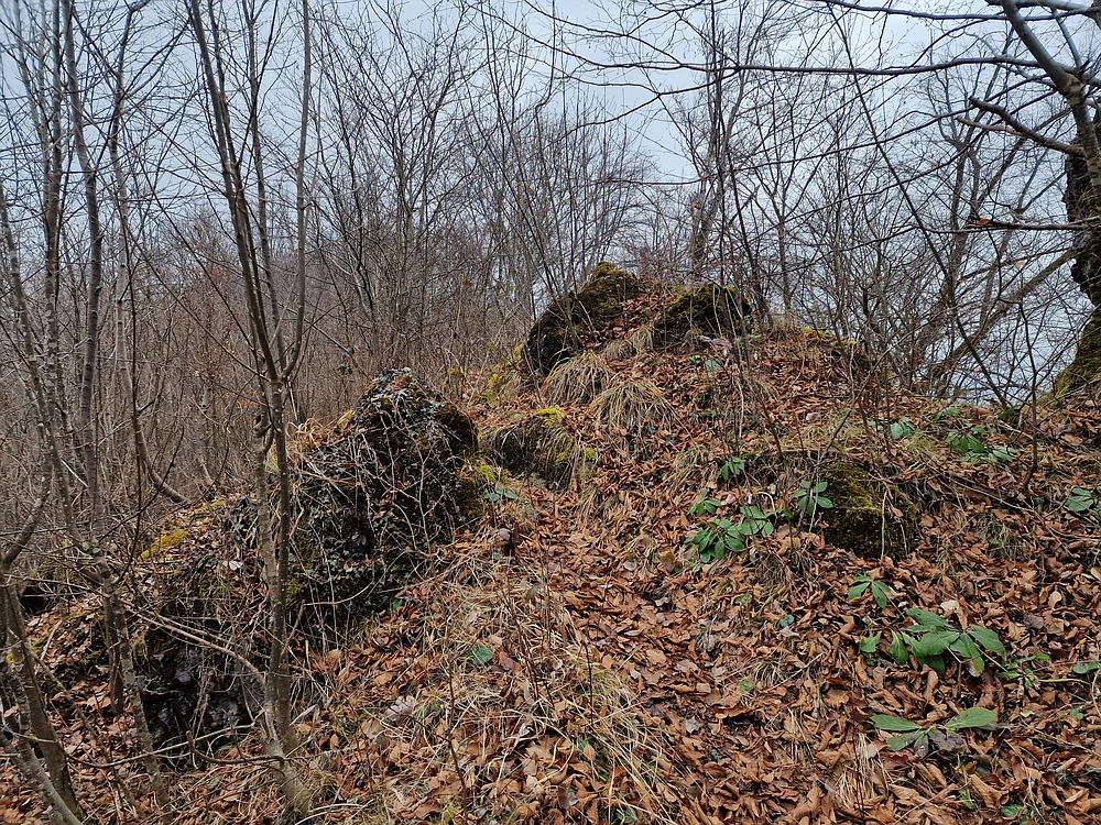 Špicberg, 31. 1. 2026