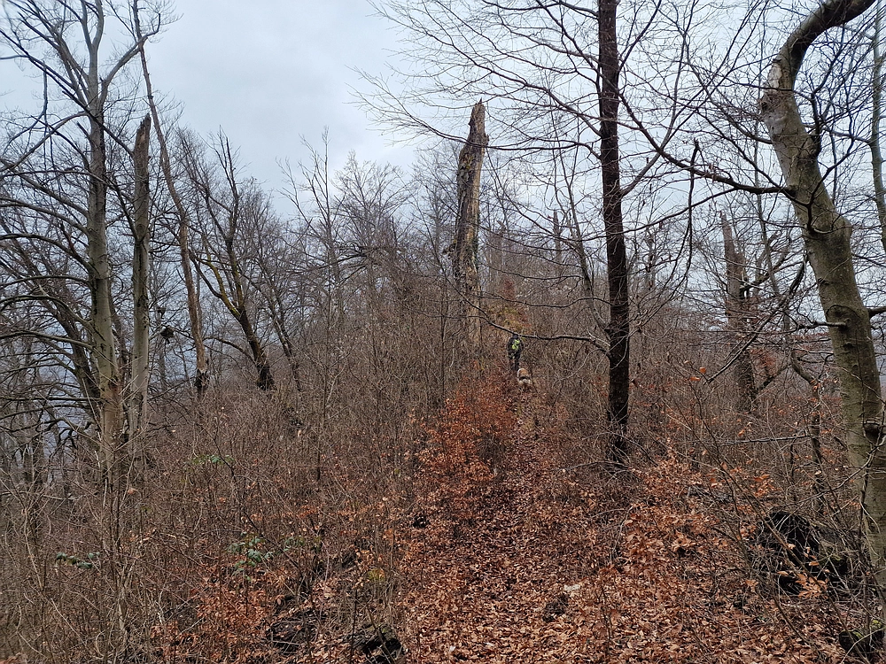 Špicberg, 31. 1. 2026