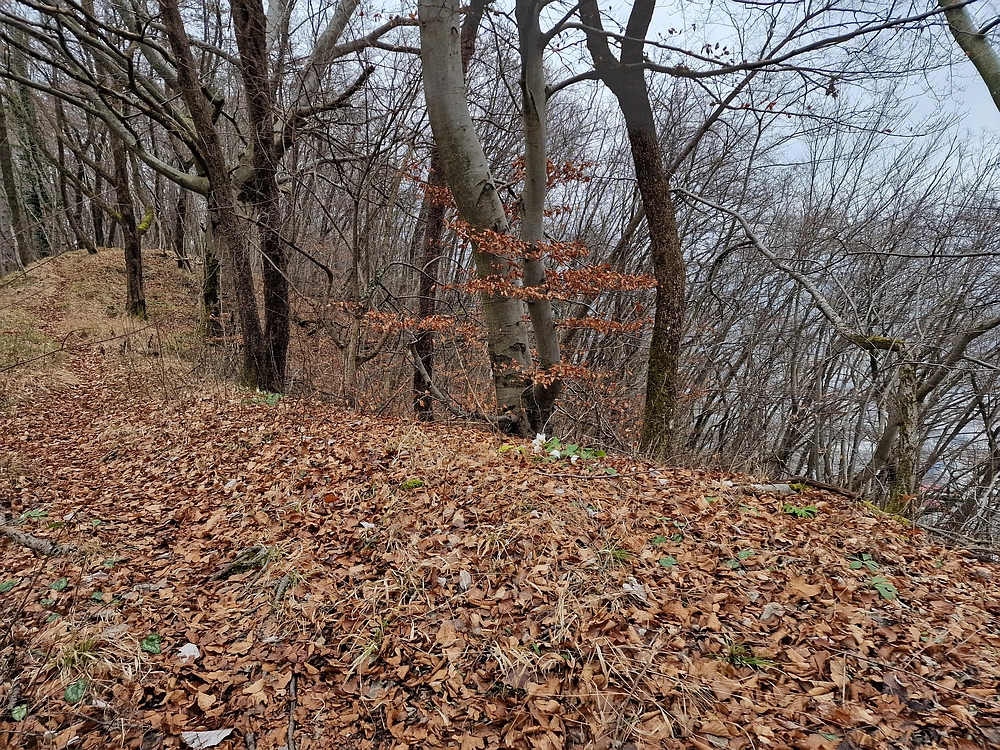 Špicberg, 31. 1. 2026