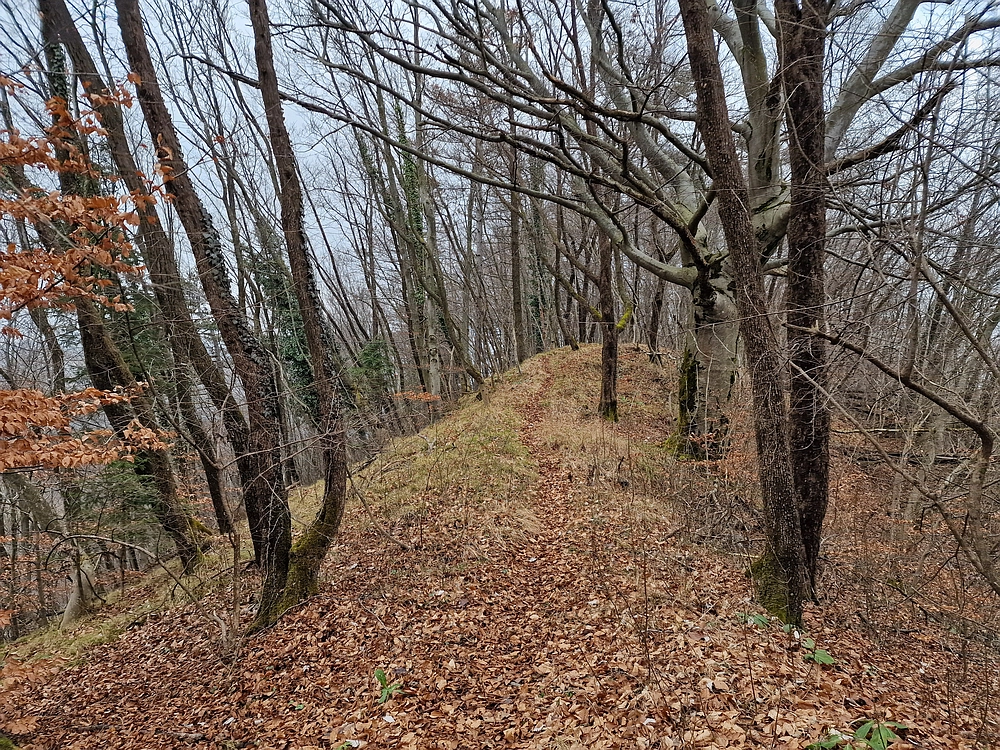 Špicberg, 31. 1. 2026