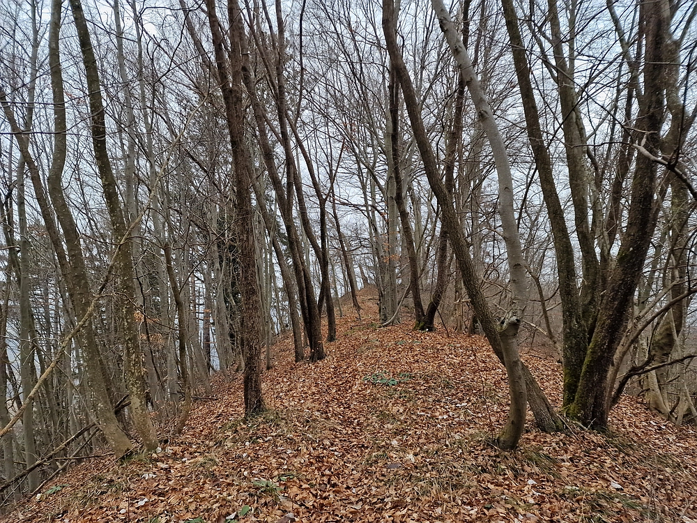 Špicberg, 31. 1. 2026