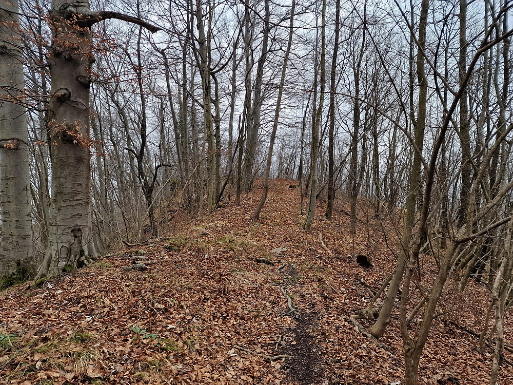 Špicberg, 31. 1. 2026