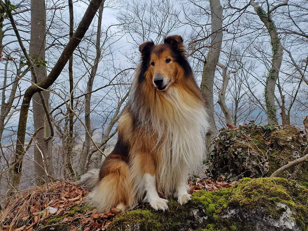 Špicberg, 31. 1. 2026