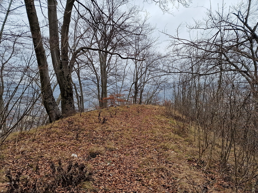 Špicberg, 31. 1. 2026