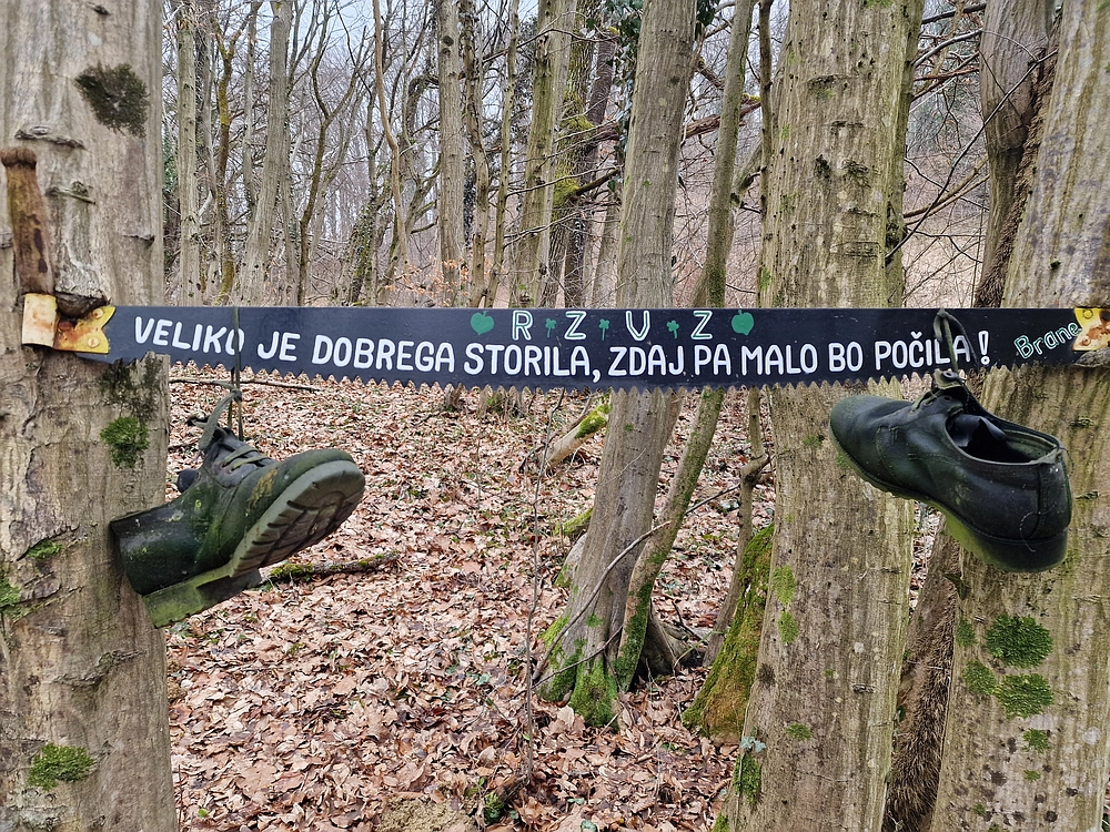 Špicberg, 31. 1. 2026