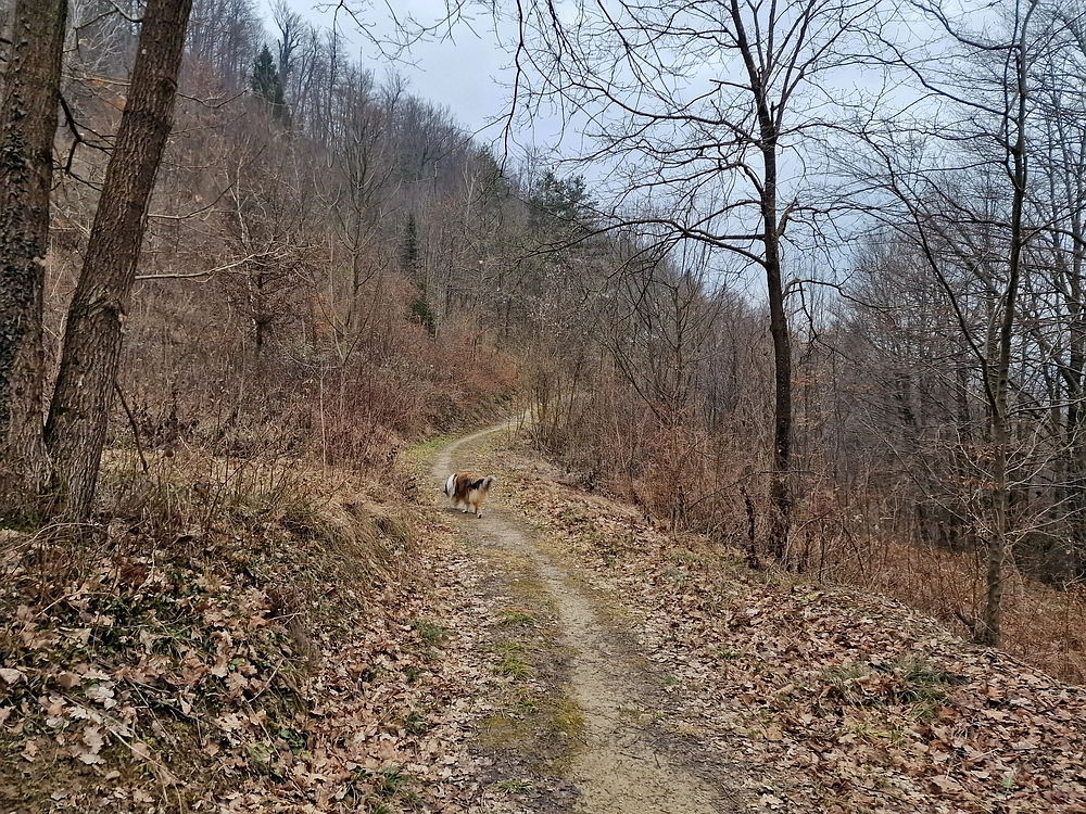 Špicberg, 31. 1. 2026