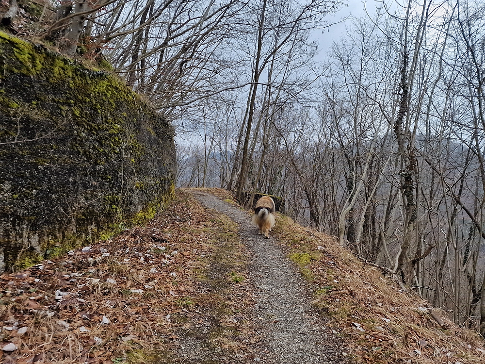 Špicberg, 31. 1. 2026