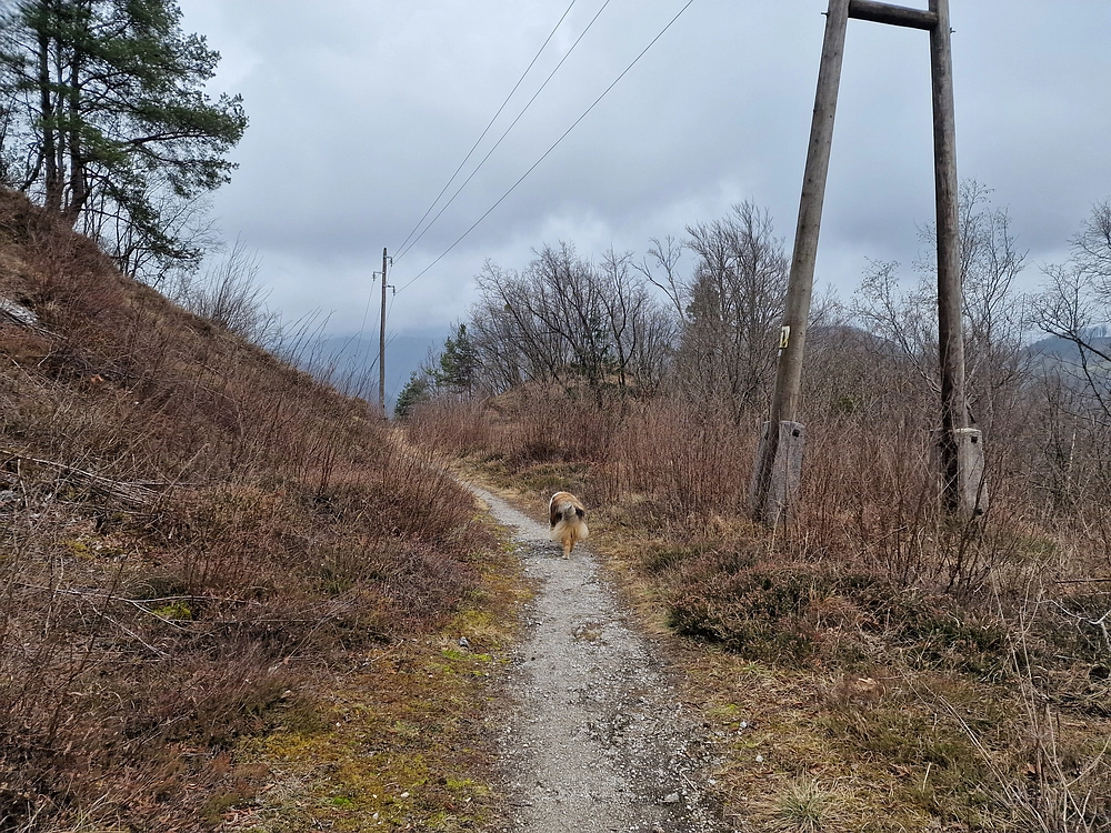 Špicberg, 31. 1. 2026
