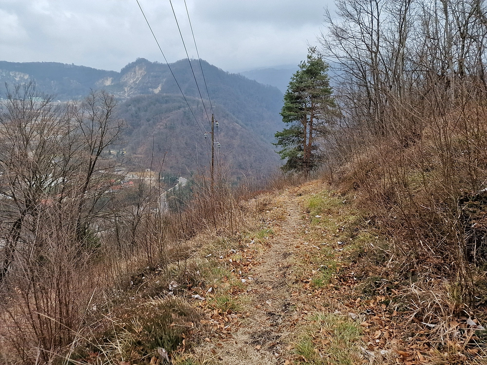 Špicberg, 31. 1. 2026