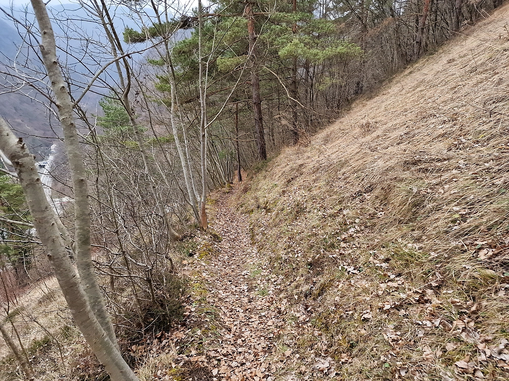 Špicberg, 31. 1. 2026