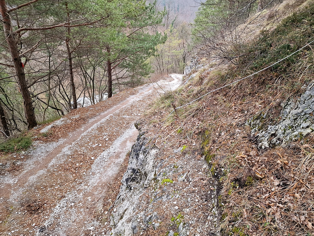 Špicberg, 31. 1. 2026