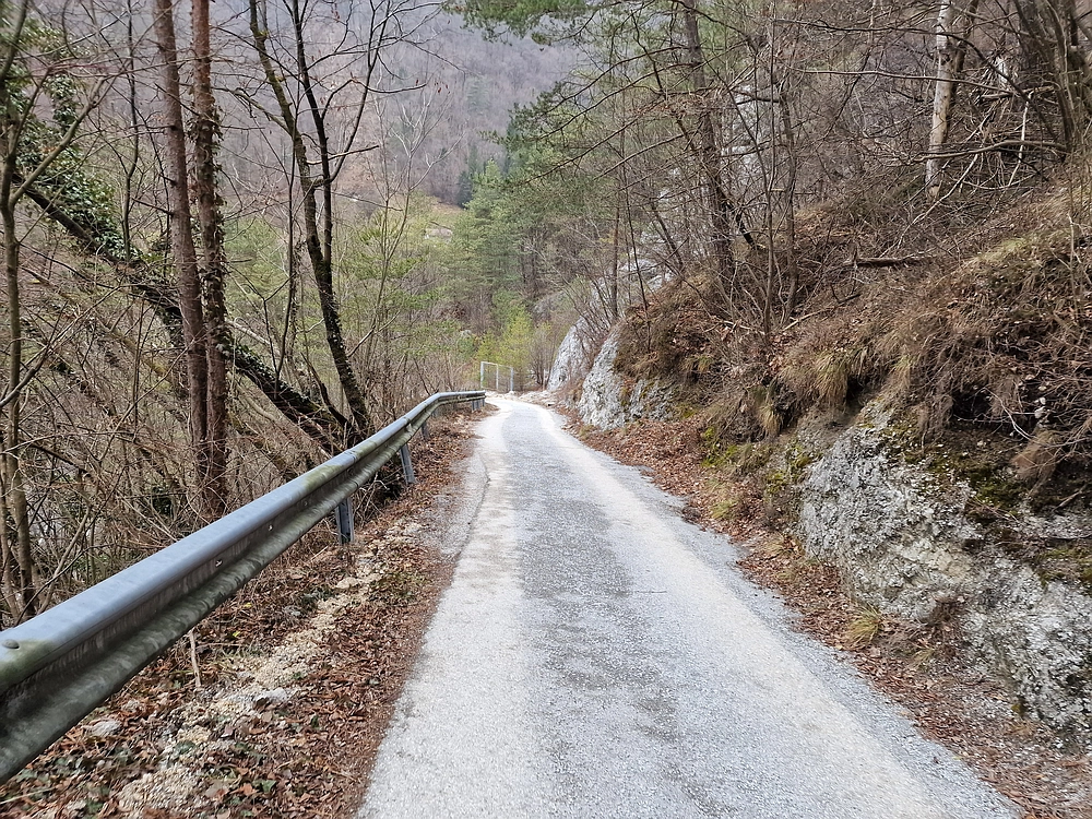 Špicberg, 31. 1. 2026