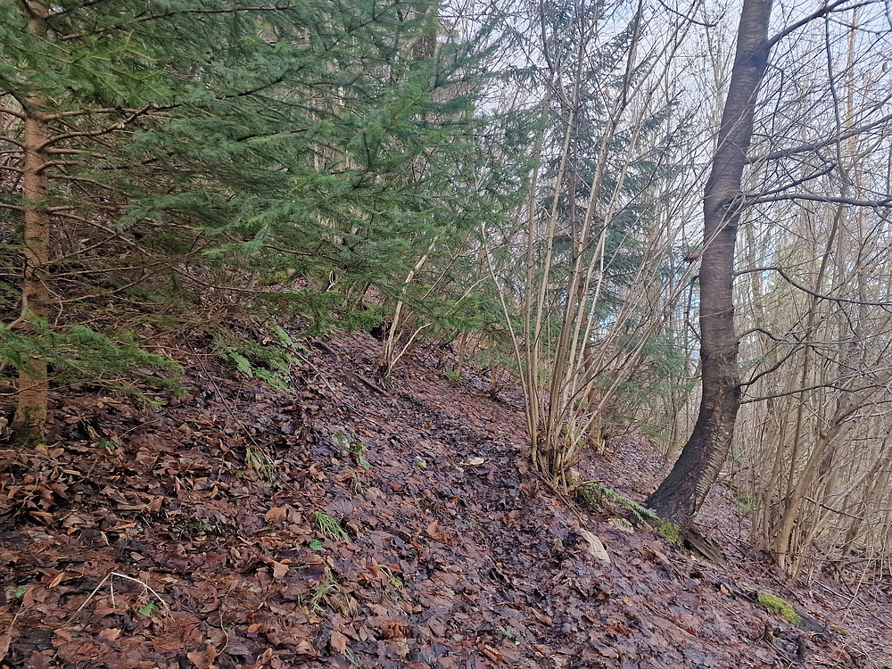 Kočet - Homič - Mrzlica, 8. 1. 2026