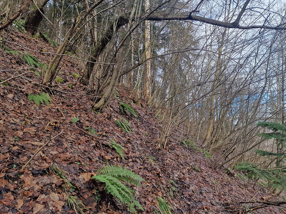 Kočet - Homič - Mrzlica, 8. 1. 2026