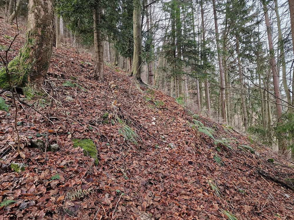 Kočet - Homič - Mrzlica, 8. 1. 2026