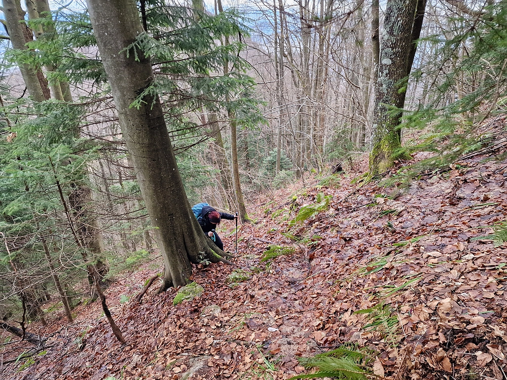 Kočet - Homič - Mrzlica, 8. 1. 2026