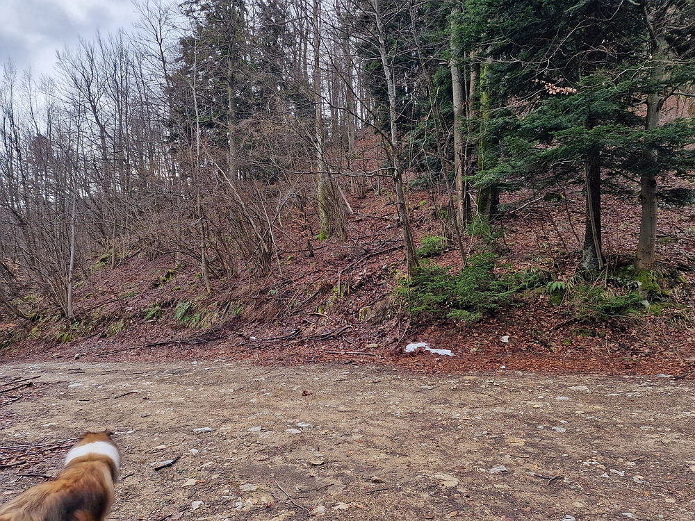 Kočet - Homič - Mrzlica, 8. 1. 2026