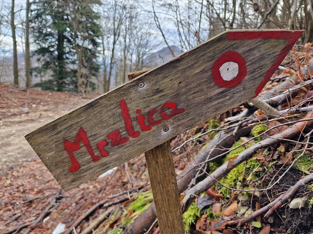 Kočet - Homič - Mrzlica, 8. 1. 2026