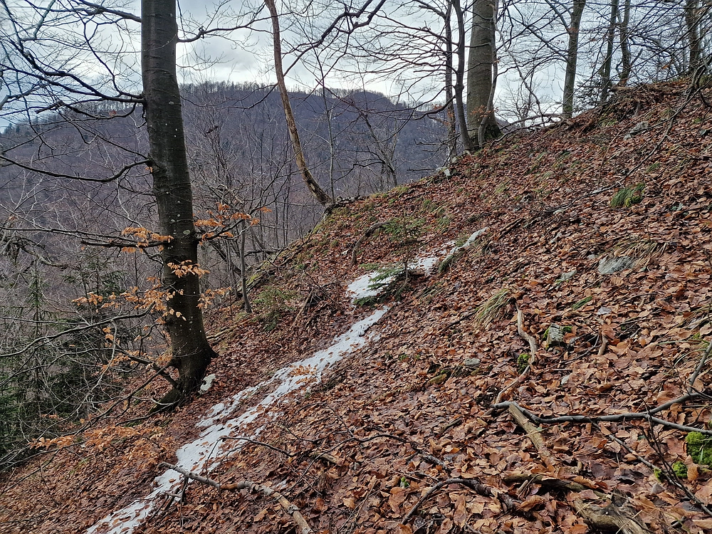 Kočet - Homič - Mrzlica, 8. 1. 2026