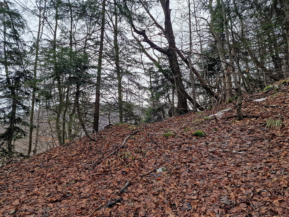 Kočet - Homič - Mrzlica, 8. 1. 2026