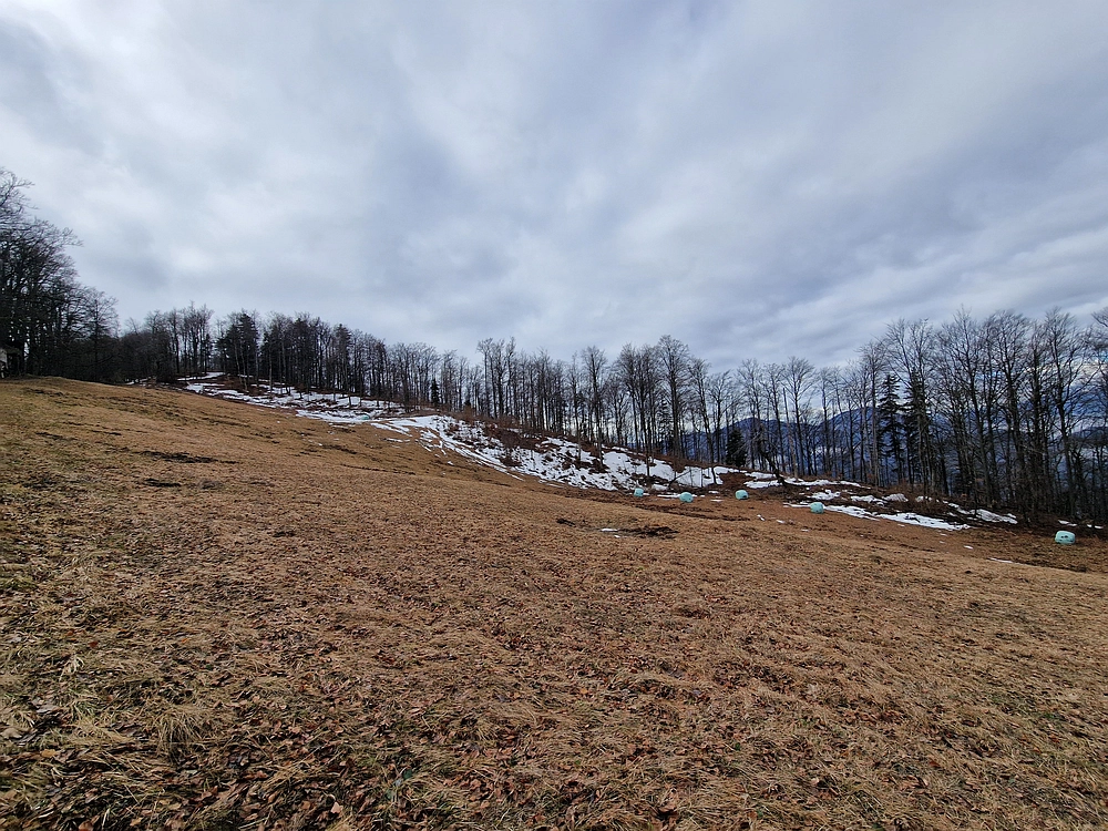 Kočet - Homič - Mrzlica, 8. 1. 2026