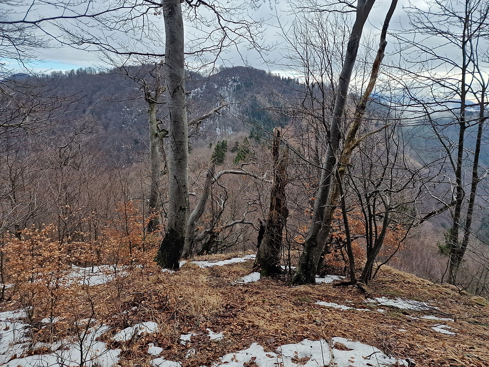 Kočet - Homič - Mrzlica, 8. 1. 2026