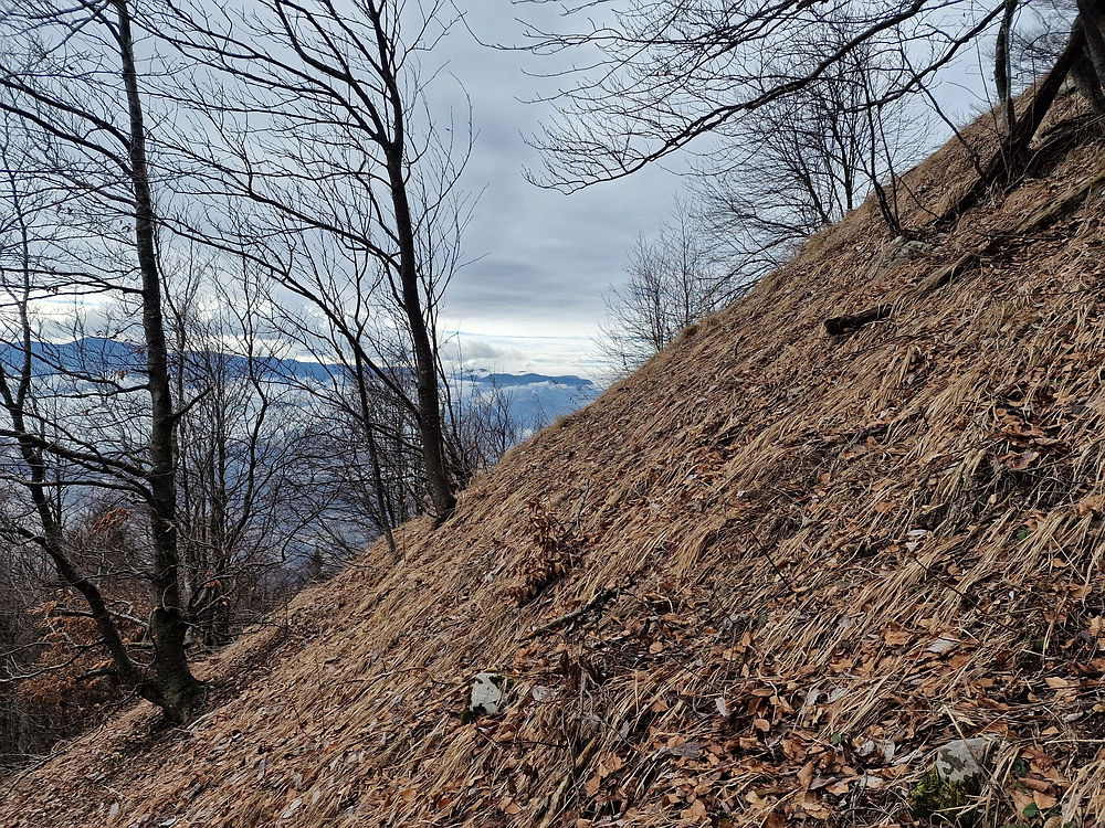 Kočet - Homič - Mrzlica, 8. 1. 2026