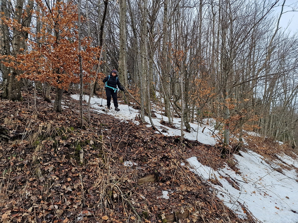 Kočet - Homič - Mrzlica, 8. 1. 2026