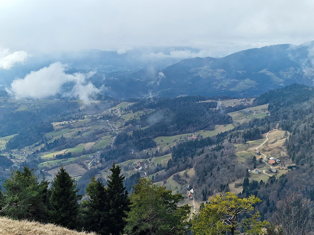 Kočet - Homič - Mrzlica, 8. 1. 2026