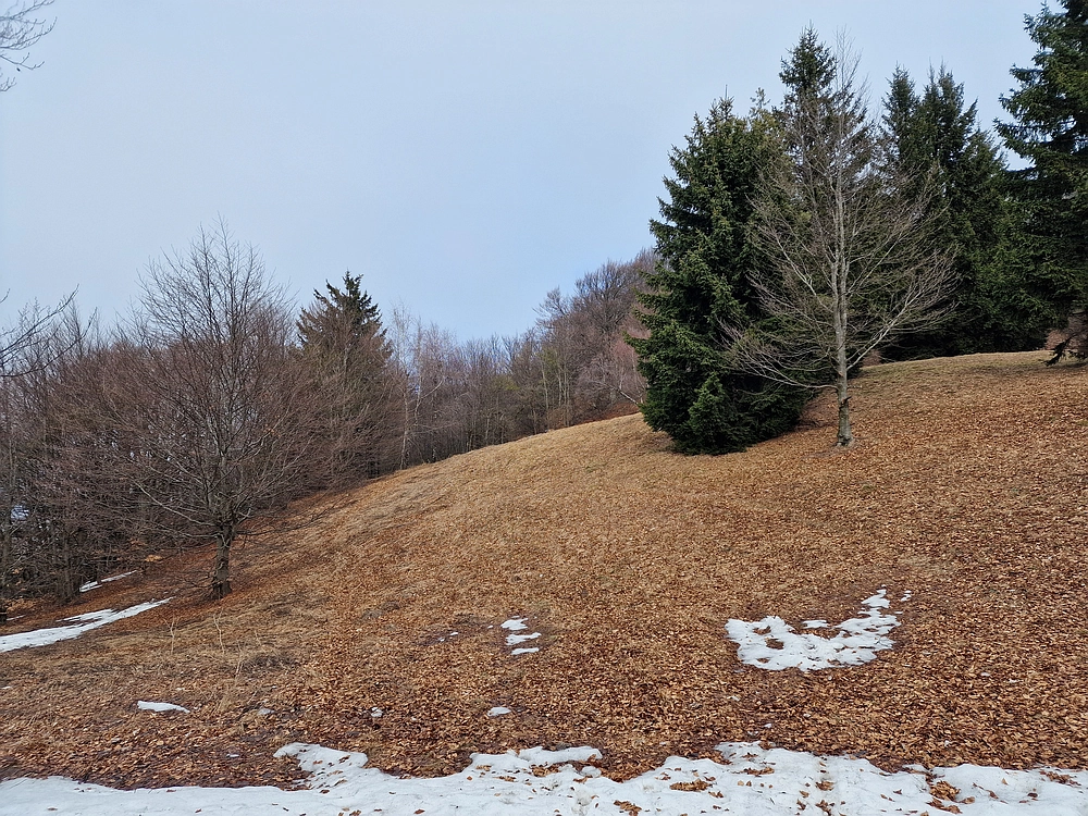 Kočet - Homič - Mrzlica, 8. 1. 2026