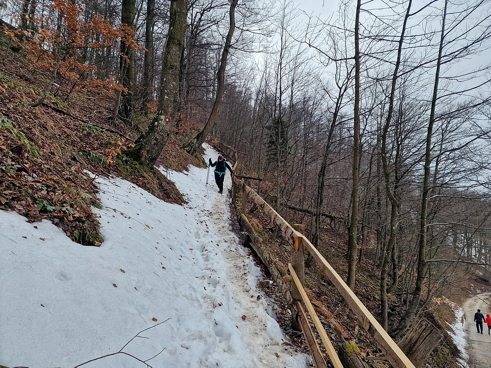 Kočet - Homič - Mrzlica, 8. 1. 2026