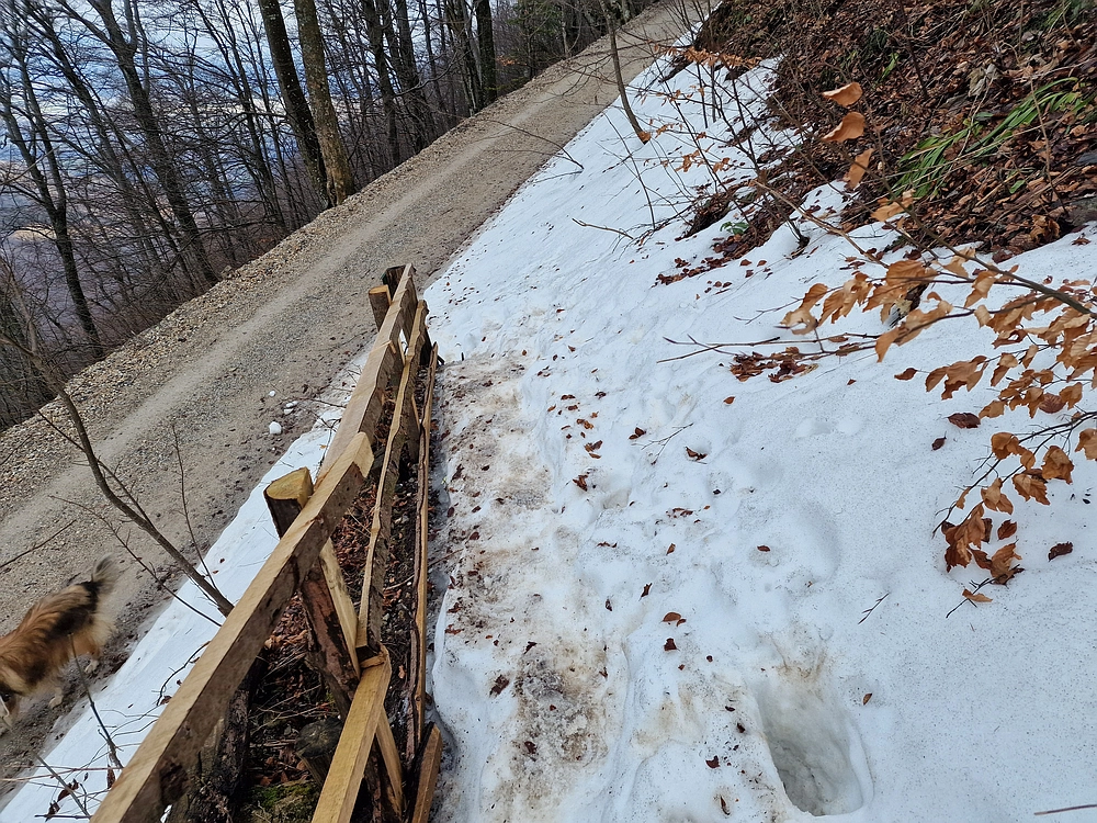 Kočet - Homič - Mrzlica, 8. 1. 2026