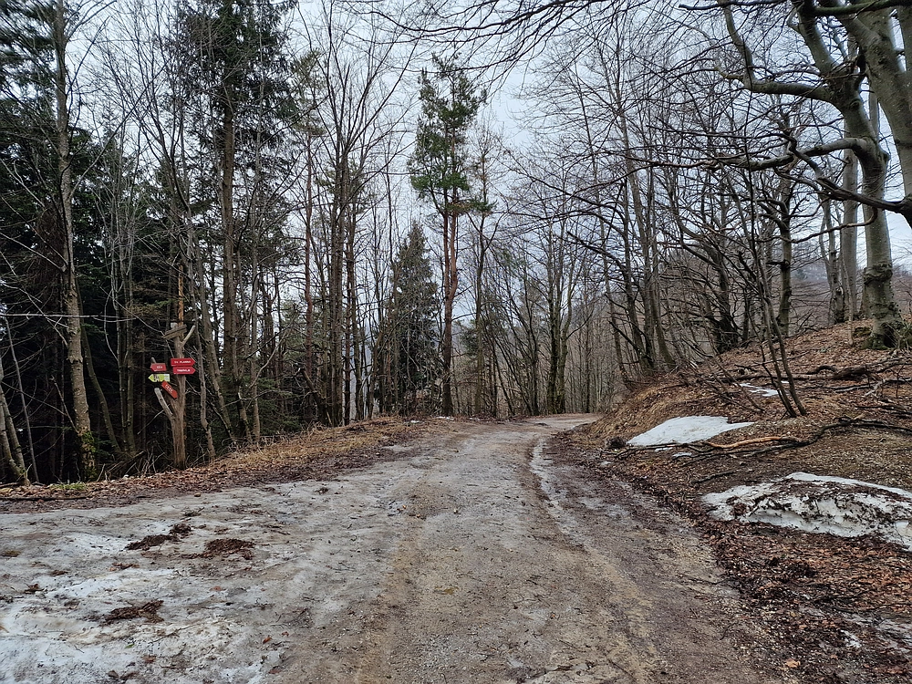 Kočet - Homič - Mrzlica, 8. 1. 2026