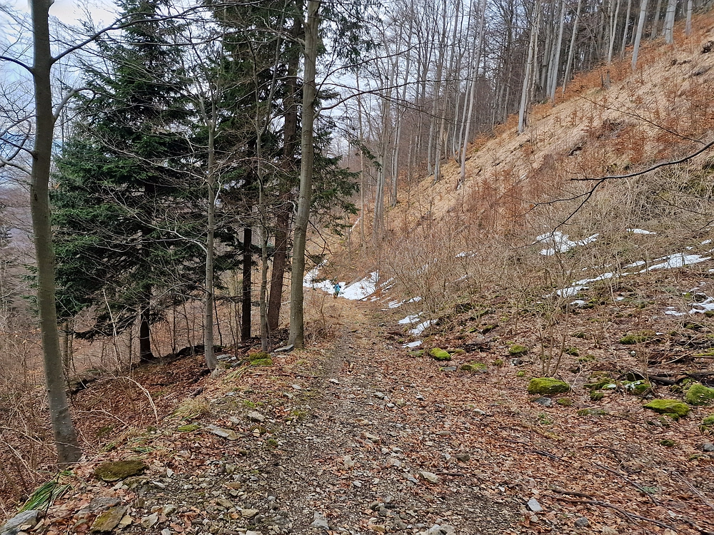 Kočet - Homič - Mrzlica, 8. 1. 2026