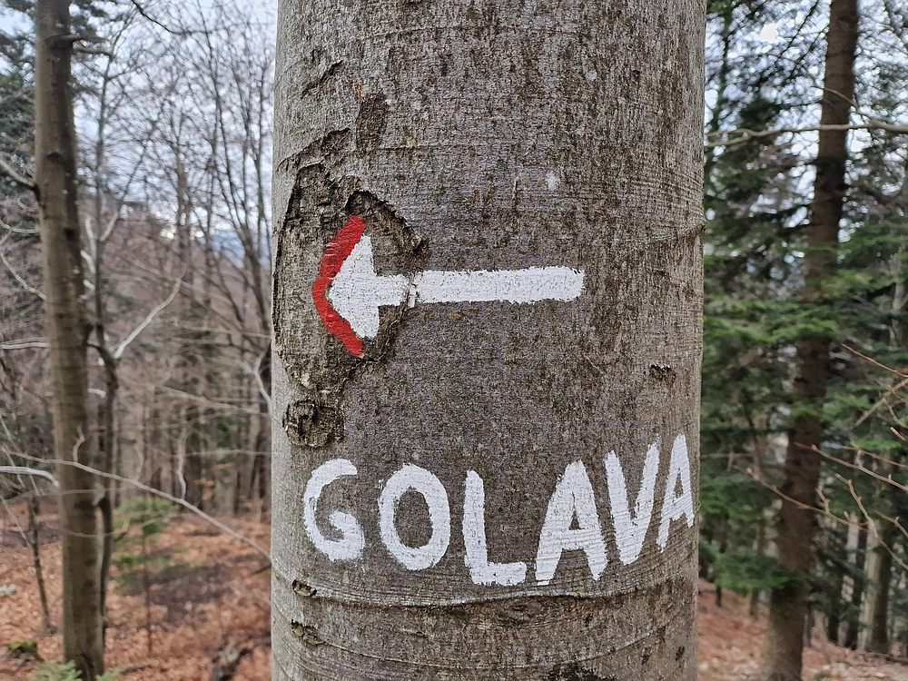 Kočet - Homič - Mrzlica, 8. 1. 2026