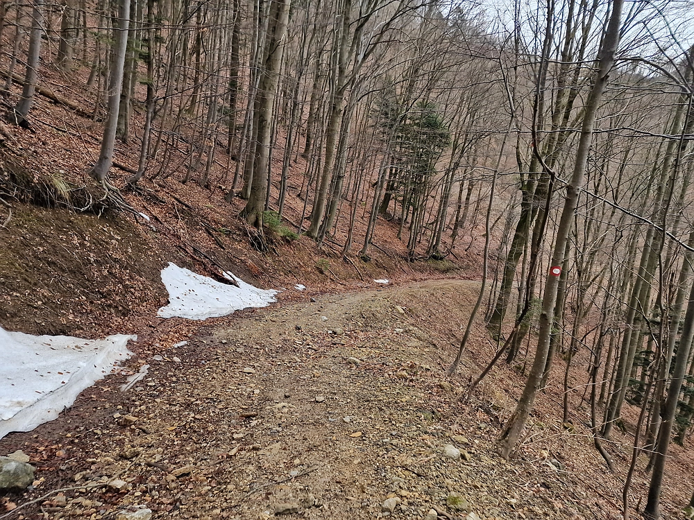 Kočet - Homič - Mrzlica, 8. 1. 2026