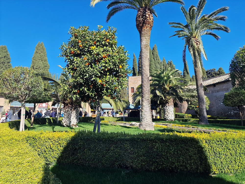 Rim, Neapelj, Pompeji, Vezuv, 16. - 19. 2. 2026