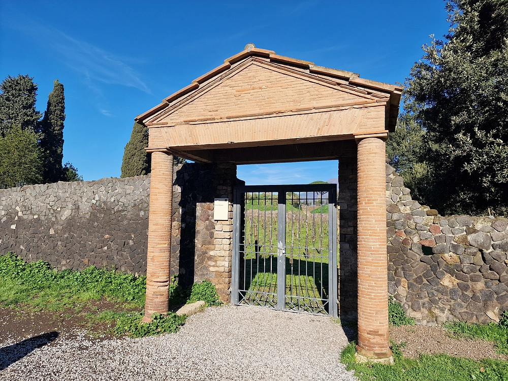 Rim, Neapelj, Pompeji, Vezuv, 16. - 19. 2. 2026