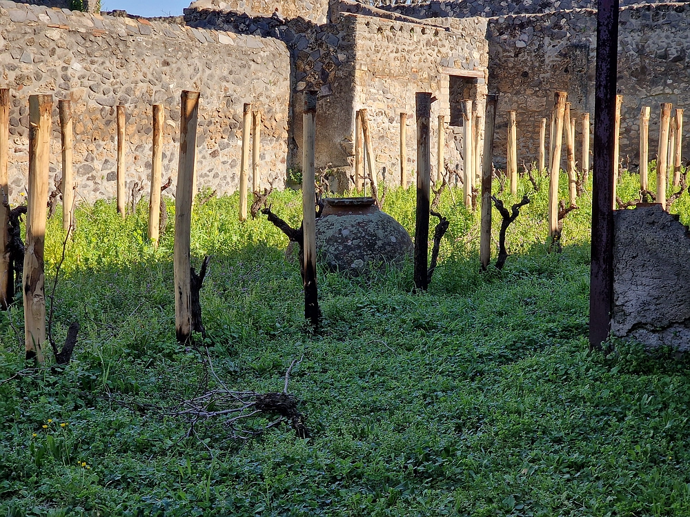 Rim, Neapelj, Pompeji, Vezuv, 16. - 19. 2. 2026