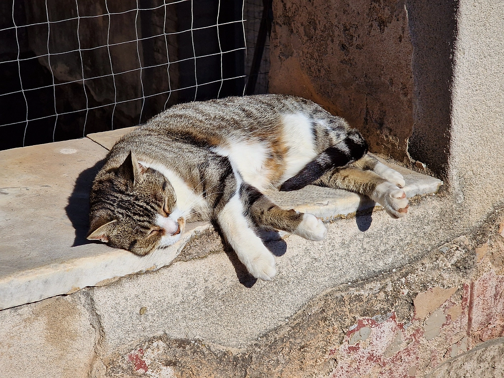 Rim, Neapelj, Pompeji, Vezuv, 16. - 19. 2. 2026