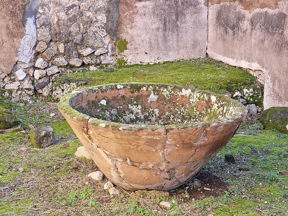 Rim, Neapelj, Pompeji, Vezuv, 16. - 19. 2. 2026