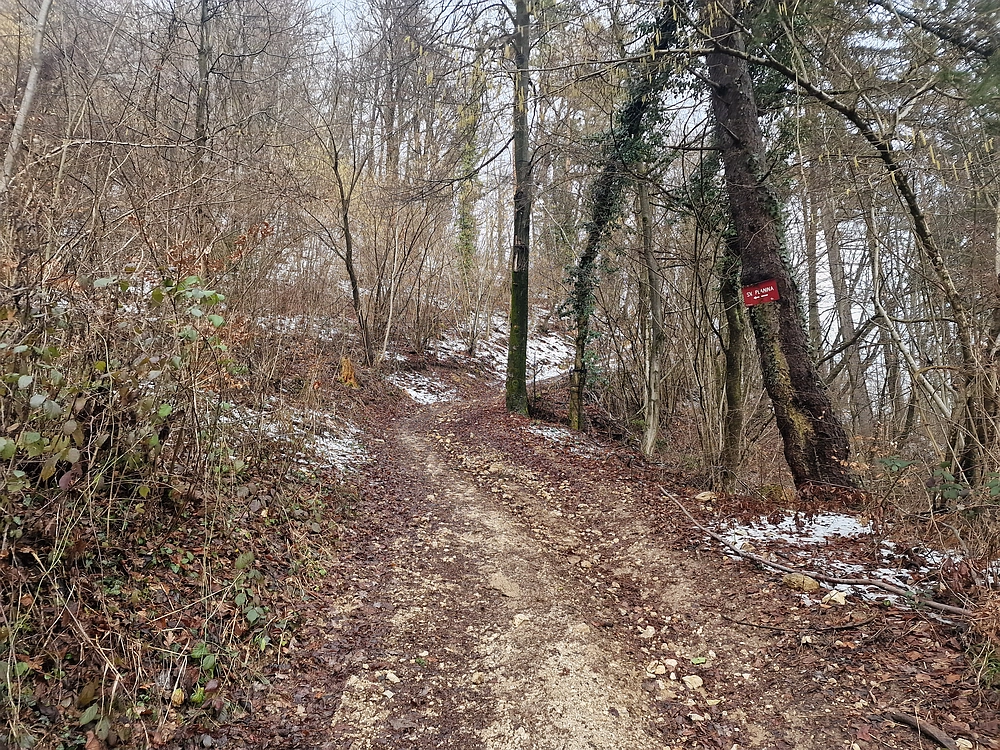 Sveta Planina, 21. 2. 2026