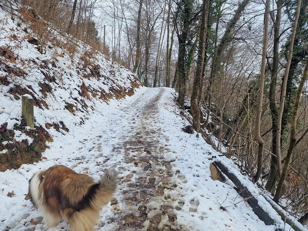 Sveta Planina, 21. 2. 2026