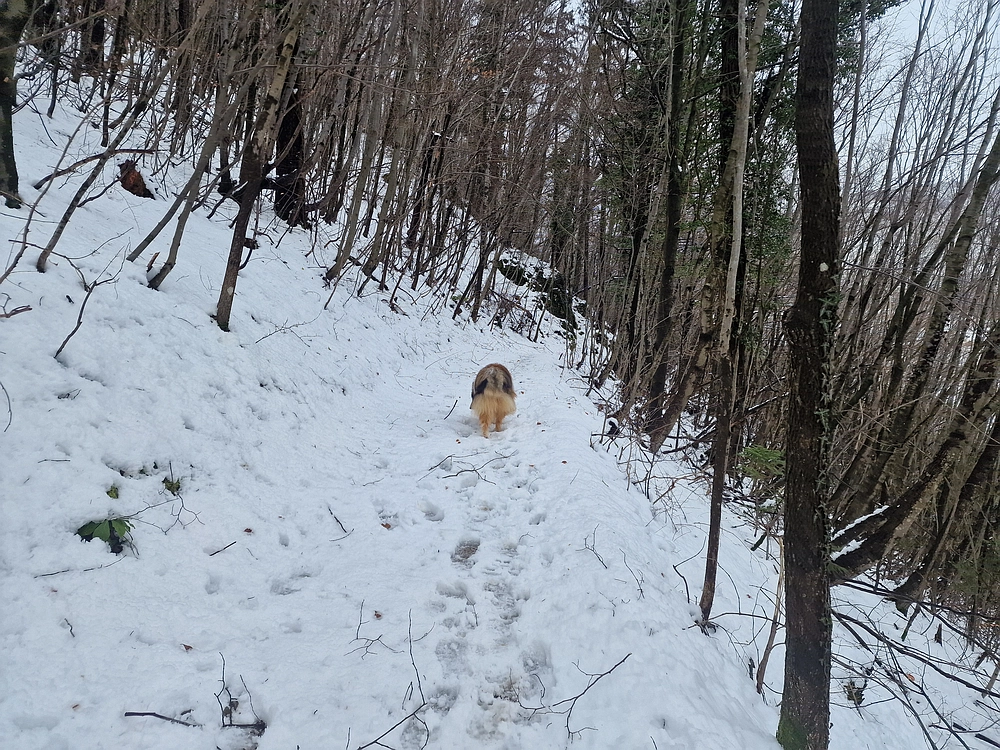 Sveta Planina, 21. 2. 2026